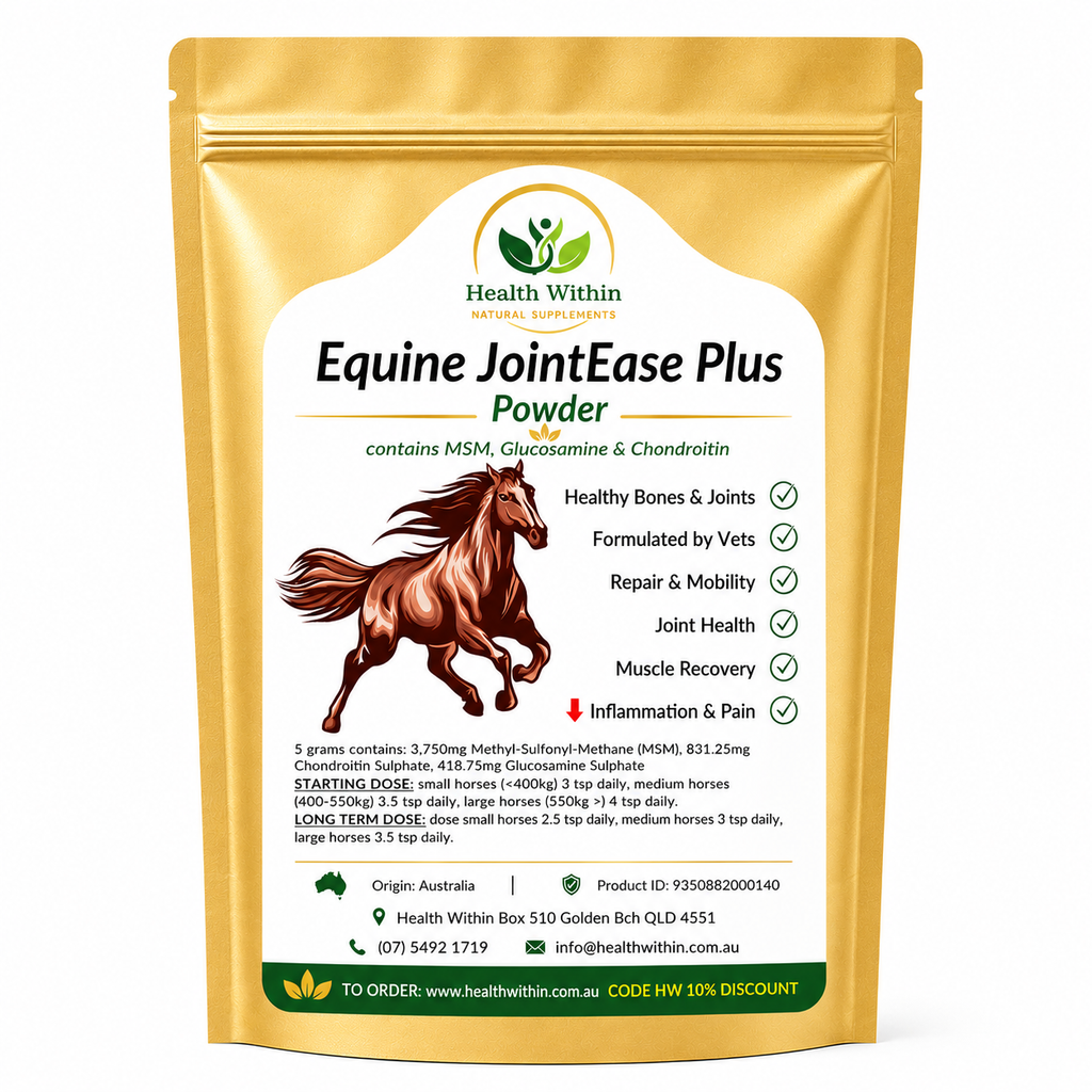 Health Within Equine JointEase Powder – premium horse joint supplement containing MSM, Glucosamine and Chondroitin in a gold resealable pouch