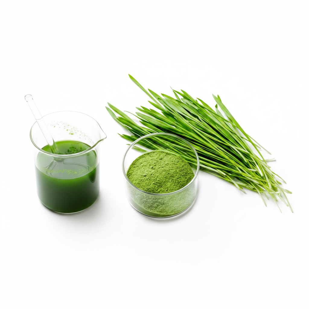 Barley Grass Powder Square HD